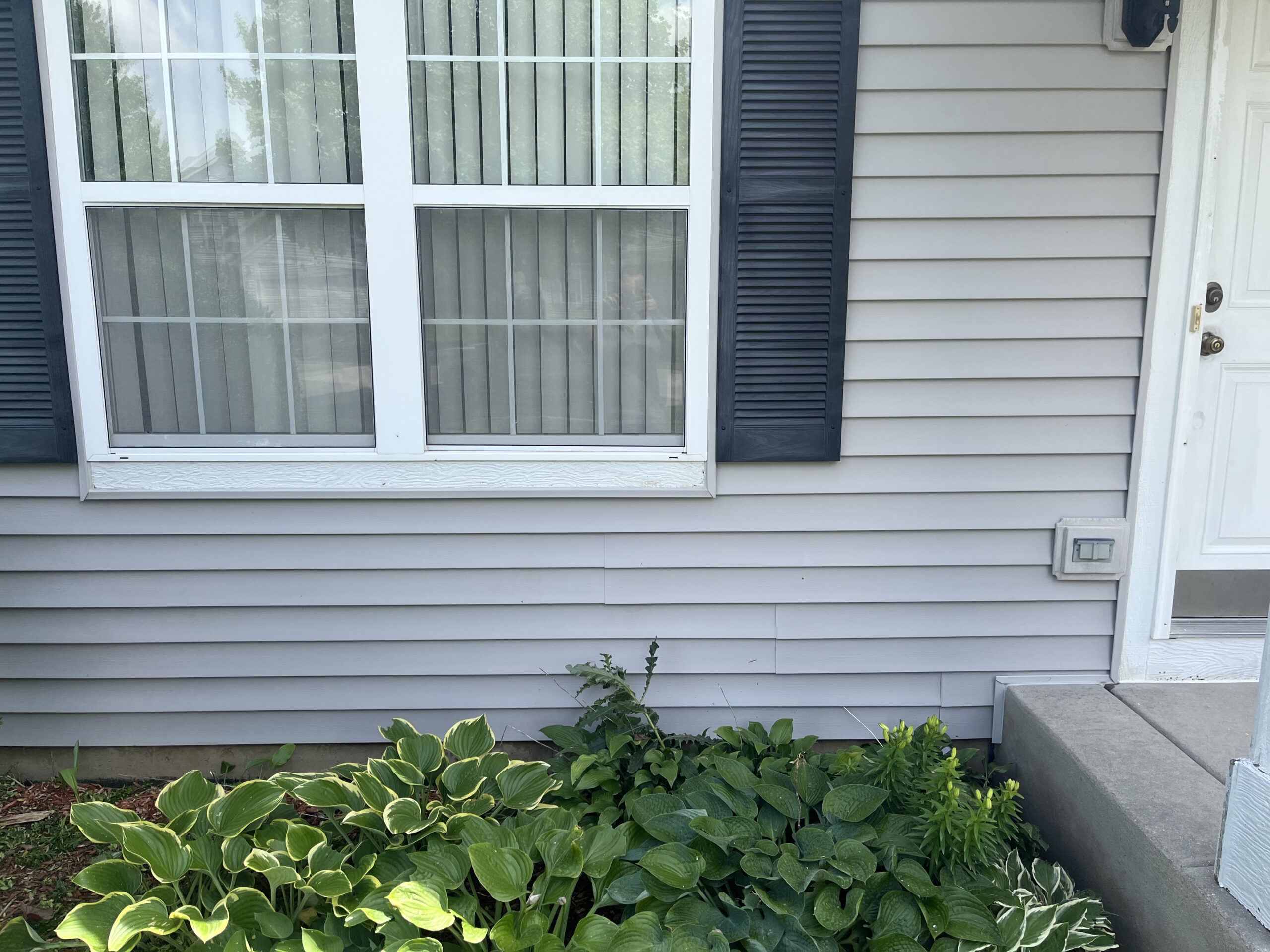 A gray house with a white-framed window featuring vertical blinds. The window is flanked by dark shutters. To the right, there's a white door with a small concrete step. Green plants, including hostas, grow along the base of the house.