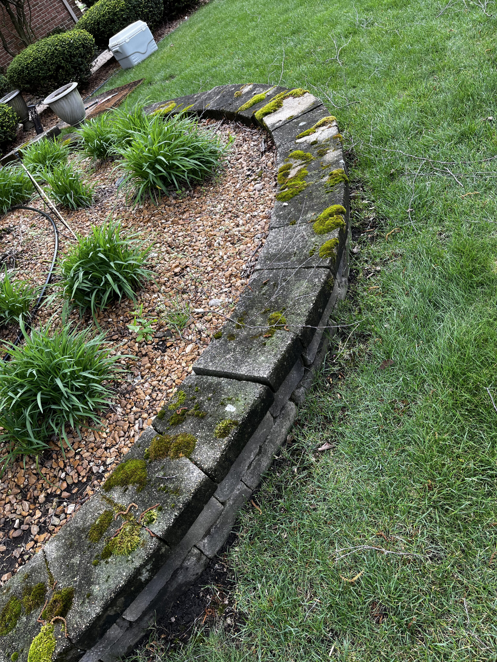 A curved stone garden border, partially covered in moss, surrounds a flower bed with green plants and small rocks. The border rests on a grassy lawn. There is a white container and some bushes visible in the background.