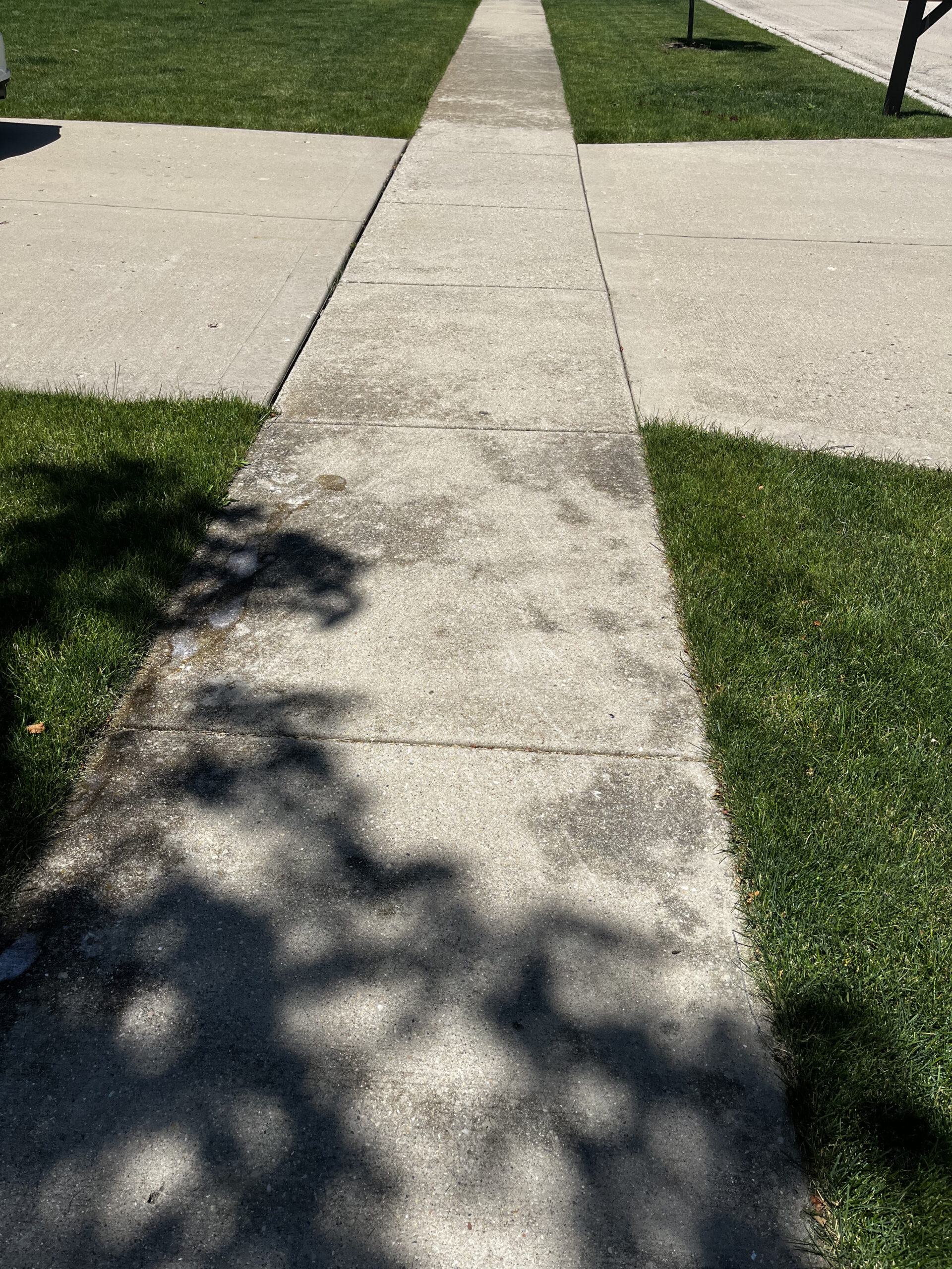 A concrete sidewalk extends forward, bordered by green grass on both sides. Shadows of trees partially cover the sidewalk, giving it a dappled appearance. Two adjoining concrete areas, which could be driveways or a street, intersect the path midway.